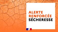 alerte-renforcee-secheresse