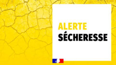 alerte-secheresse