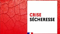 crise-secheresse