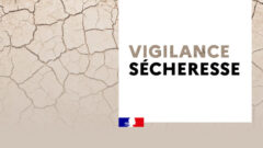 vigilance-secheresse